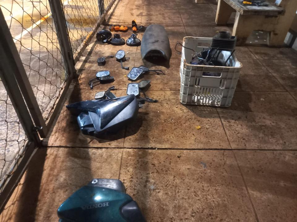 Foto 6 de 6 — Plantação de maconha é localizada após ação do BAEP em Araraquara